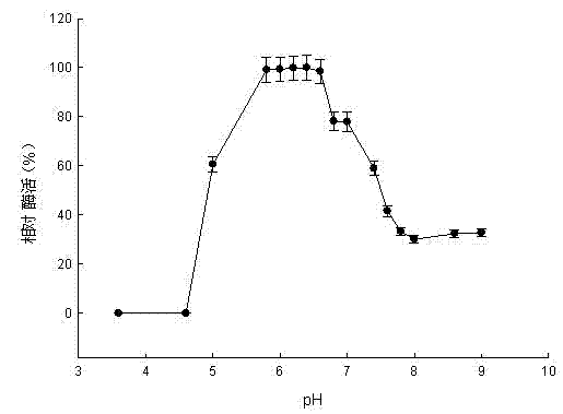 Pullulanase XWPu2 and gene thereof