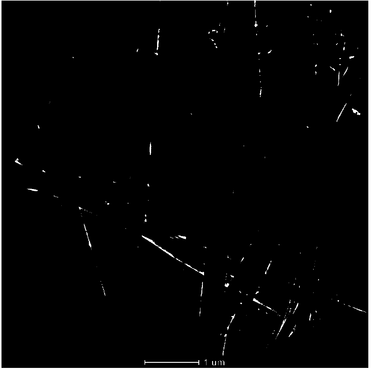 Silver/silver bromide/silver metavanadate plasma compound photocatalyst and preparation method thereof