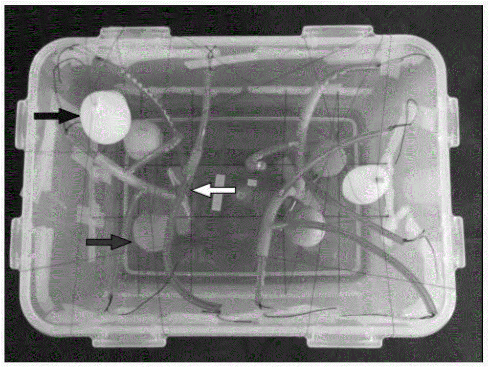 Phantom model containing tree-shaped pipeline structure