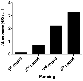 Fully humanized single-domain antibody for human TIM-3 (T cell immunoglobulin and mucin-3) and applications