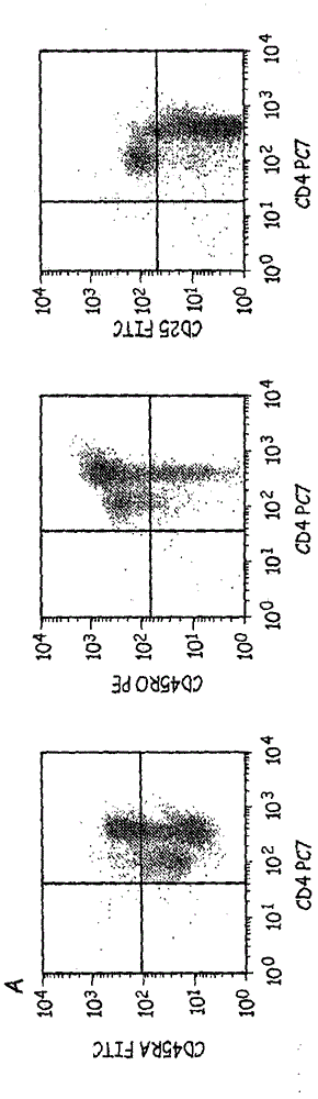 Cells expressing th1 characteristics and cytolytic properties