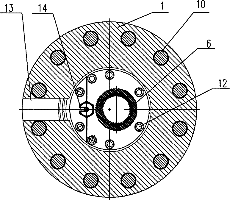 Preset production fluid section plane test method of mechanical mining horizontal well and special shaft mouth test apparatus