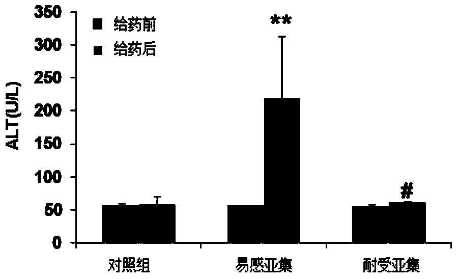 Gene expression profile based drug toxicity individual-susceptible gene marker screening method