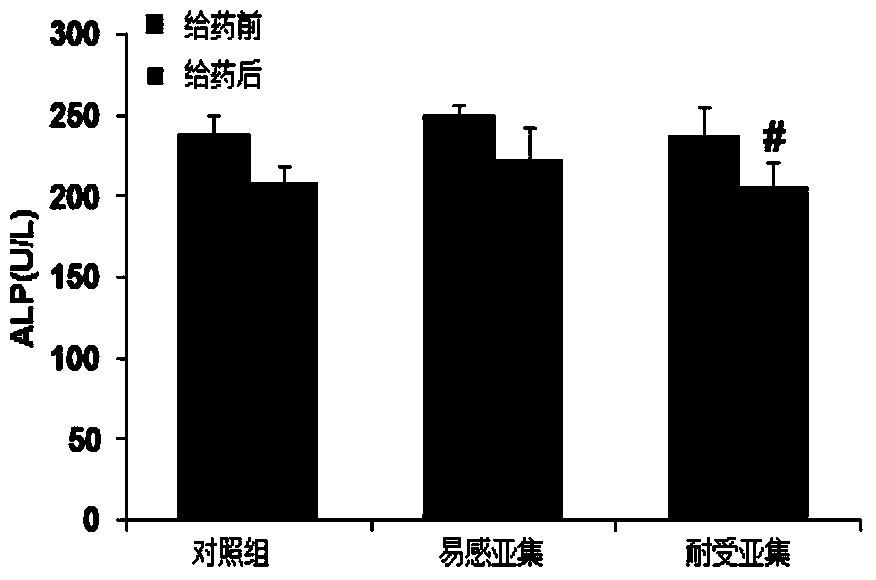 Gene expression profile based drug toxicity individual-susceptible gene marker screening method