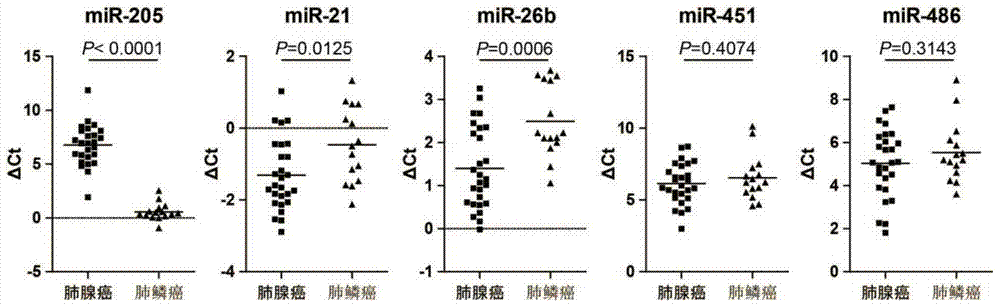 MiRNA landmark for lung cancer tissue typing and application thereof