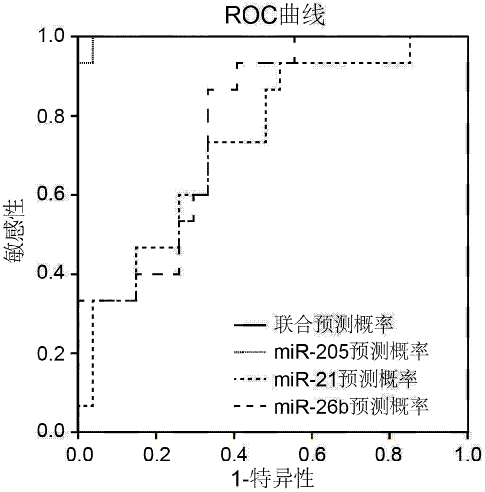 MiRNA landmark for lung cancer tissue typing and application thereof