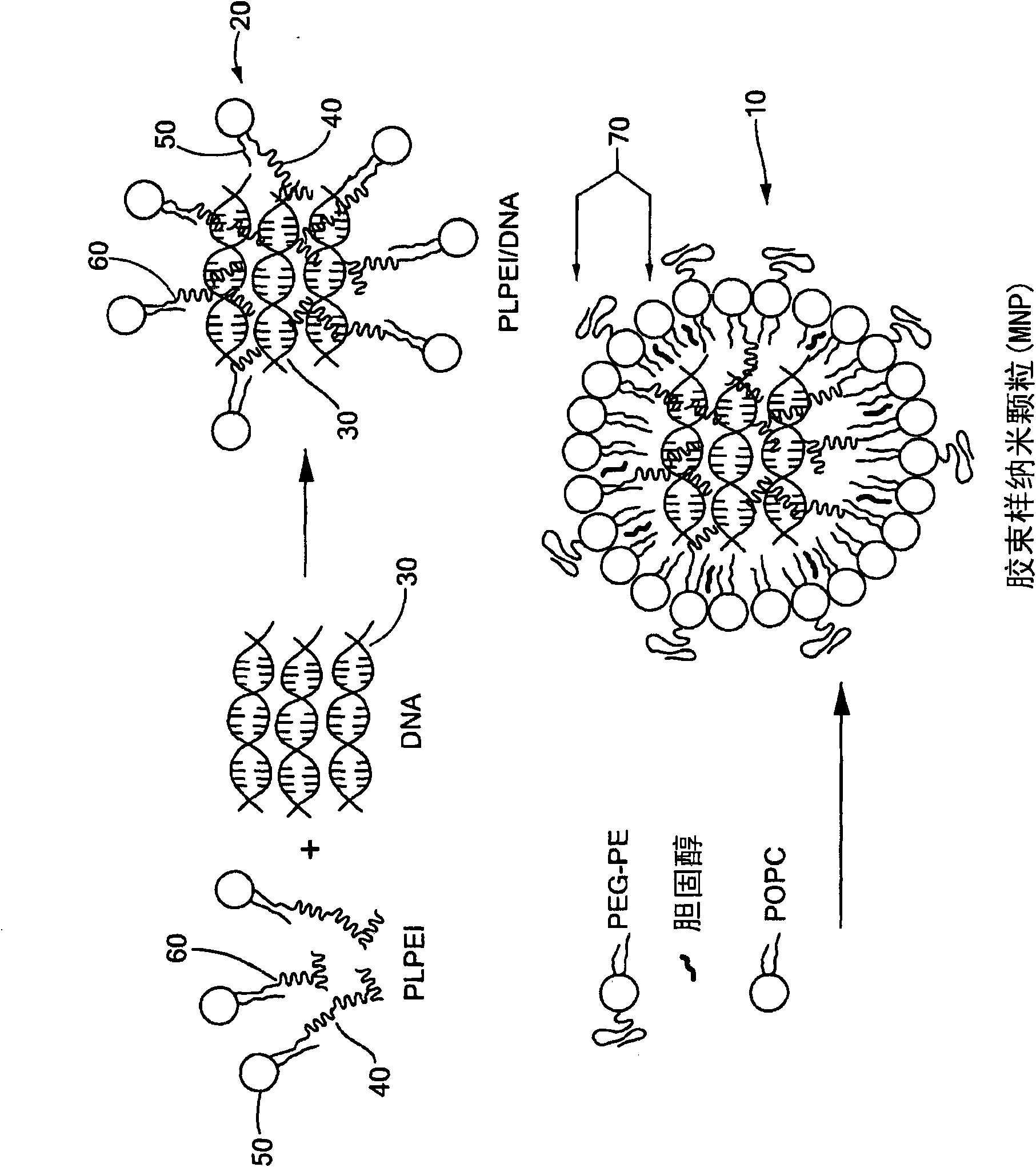 Self-assembling micelle-like nanoparticles for systemic gene delivery