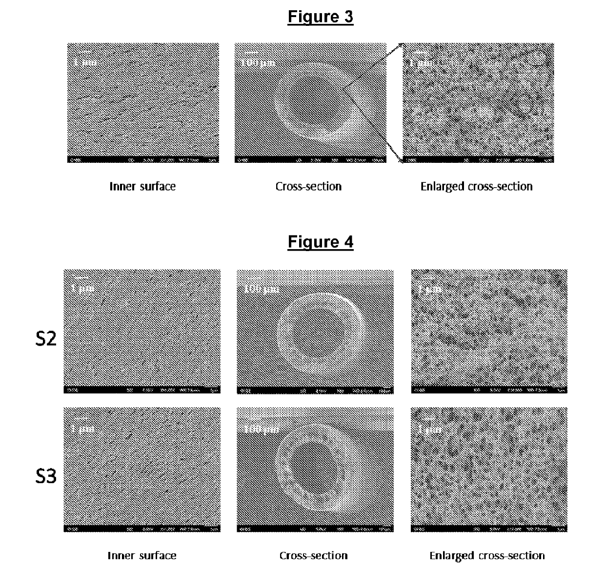 A hollow fiber membrane