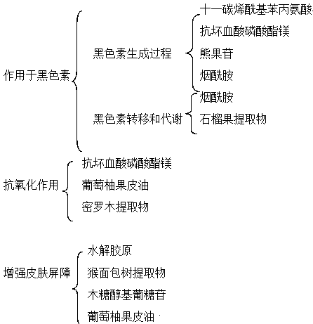 Whitening brightening composition and preparation method thereof