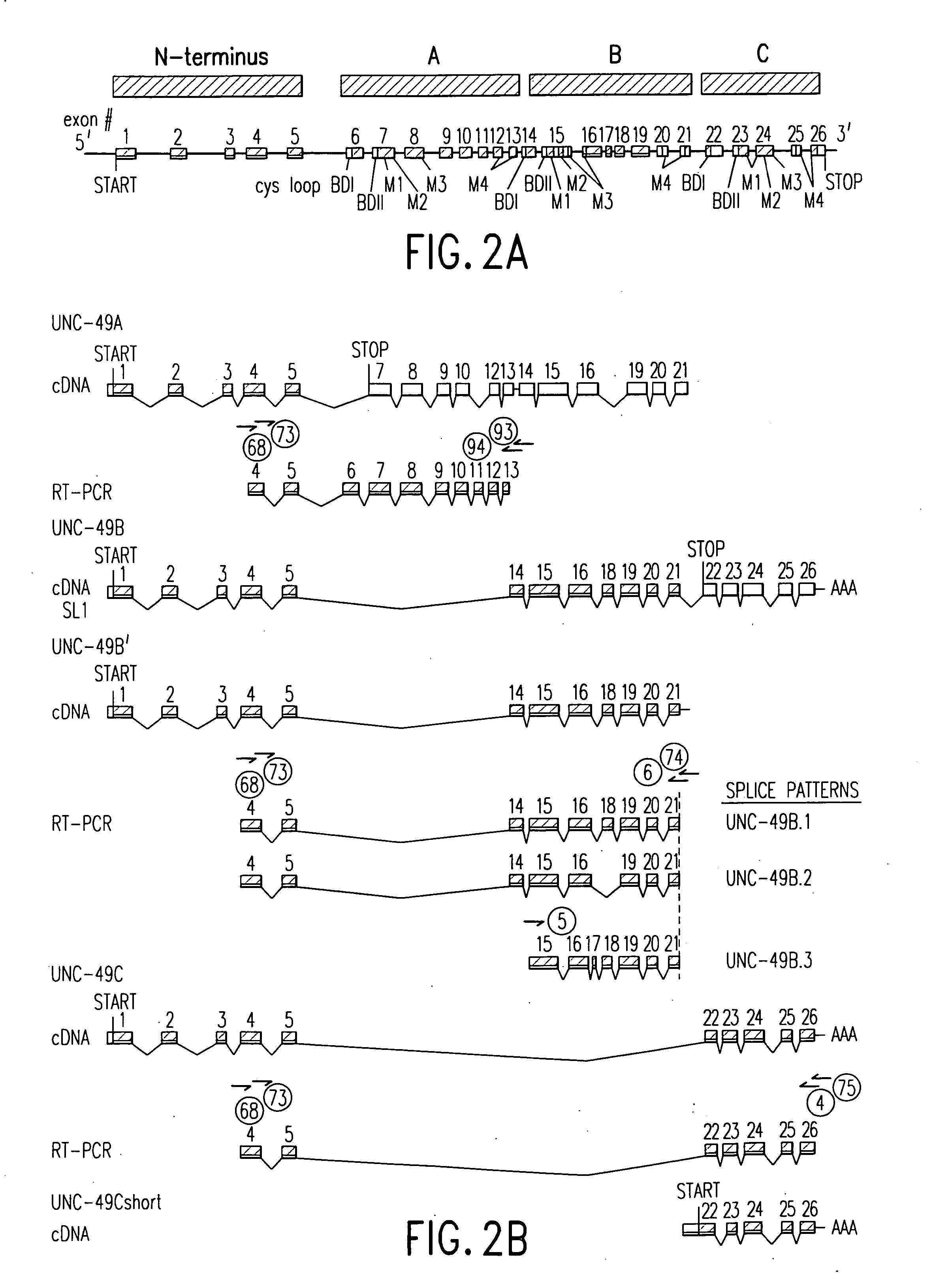 Nematode neuromuscular junction GABA receptors and methods related thereto