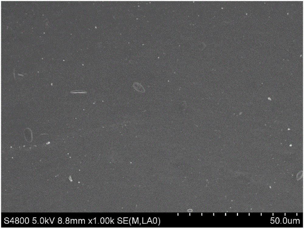 Ion exchange membrane with monovalent ion selectivity and preparing method and application thereof