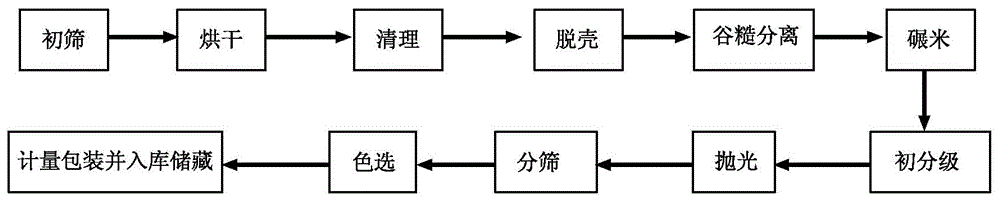 Processing technique for rice