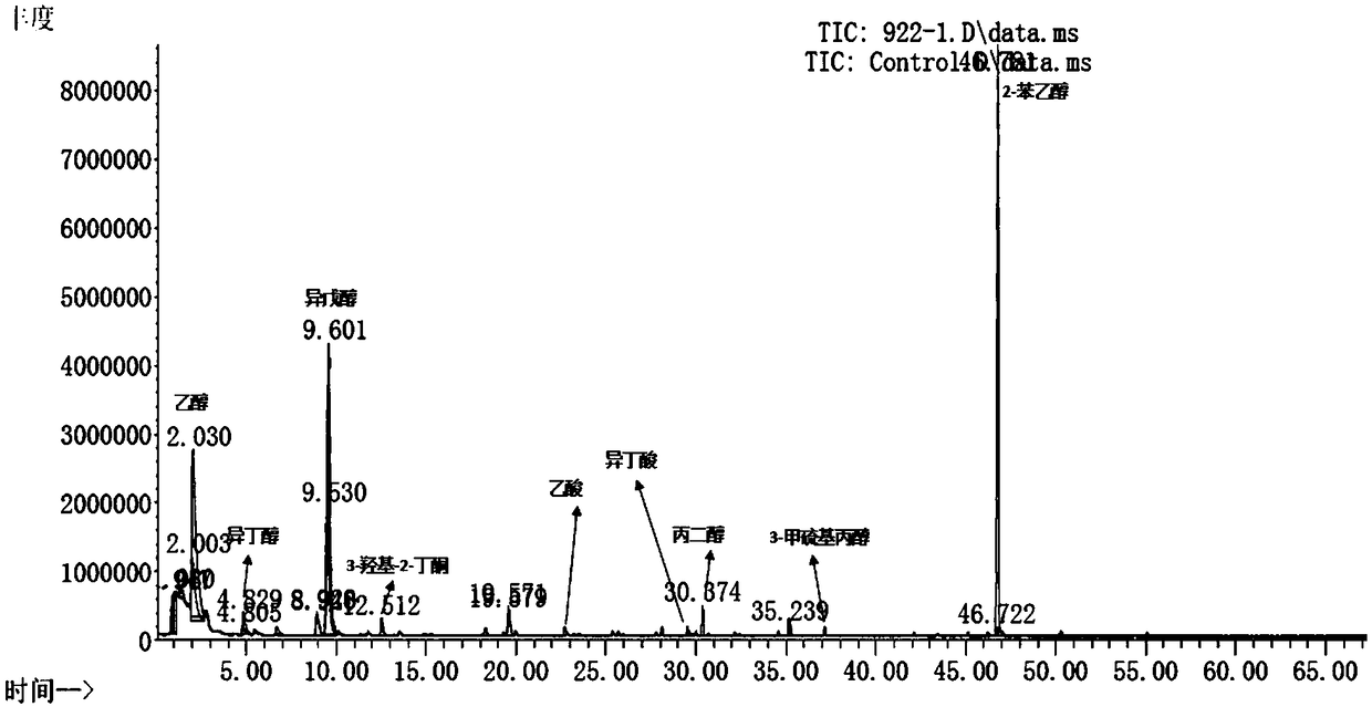 Candida mycoderma bacteria FW922-1 and application thereof