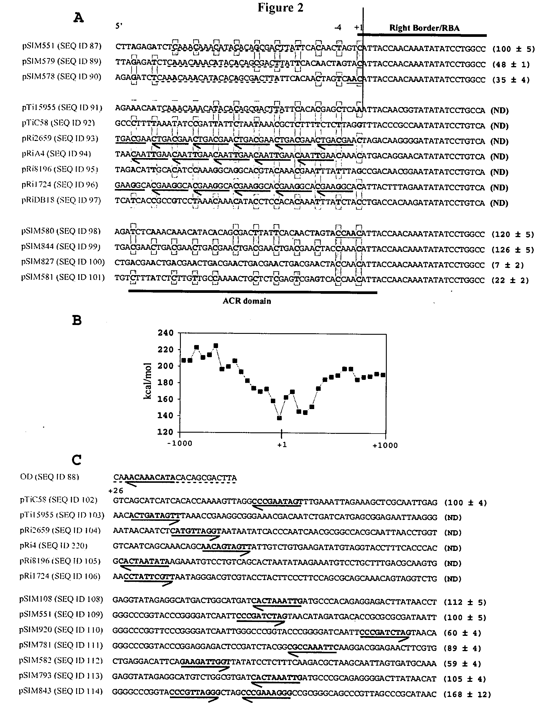 Plant-specific genetic elements and transfer cassettes for plant transformation