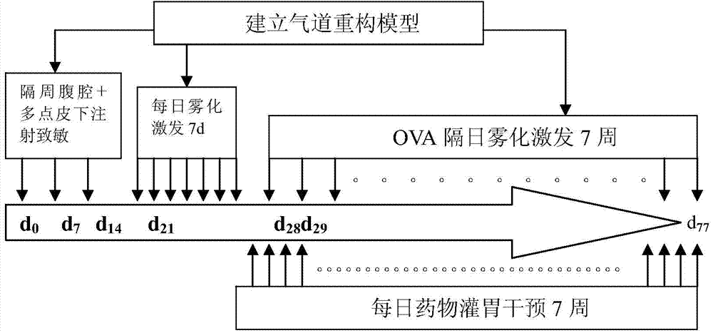 Application of protocatechualdehyde in preparing medicine for preventing and treating bronchial asthma