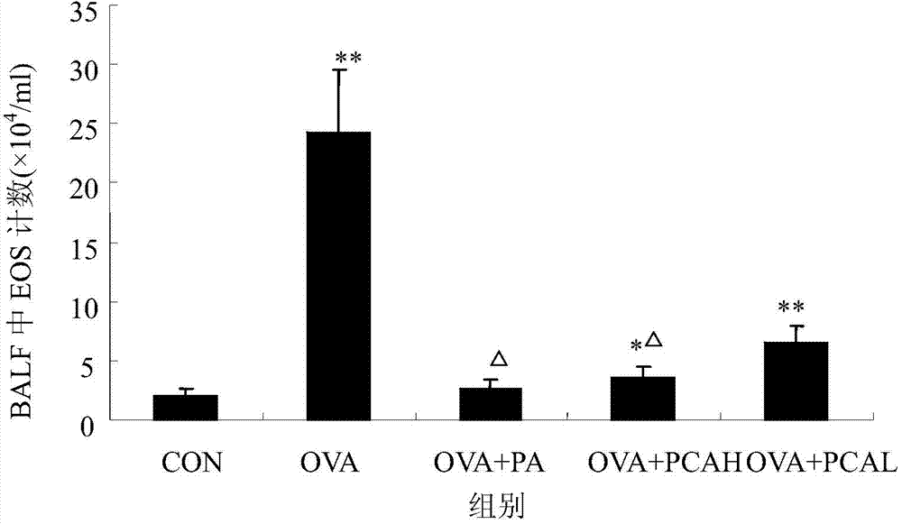 Application of protocatechualdehyde in preparing medicine for preventing and treating bronchial asthma