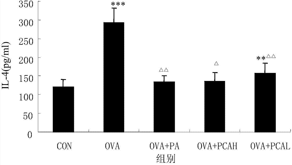 Application of protocatechualdehyde in preparing medicine for preventing and treating bronchial asthma