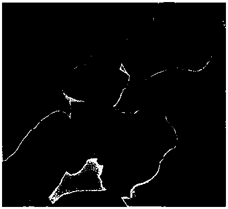 A kind of barium stannate-based composite electrolyte material and preparation method thereof