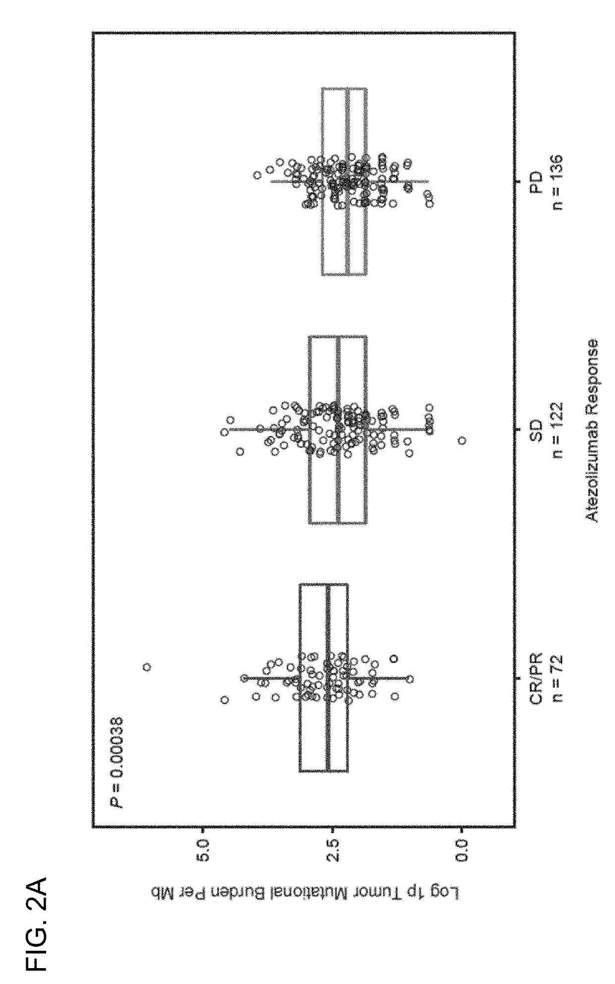 Therapeutic and diagnostic methods for cancer