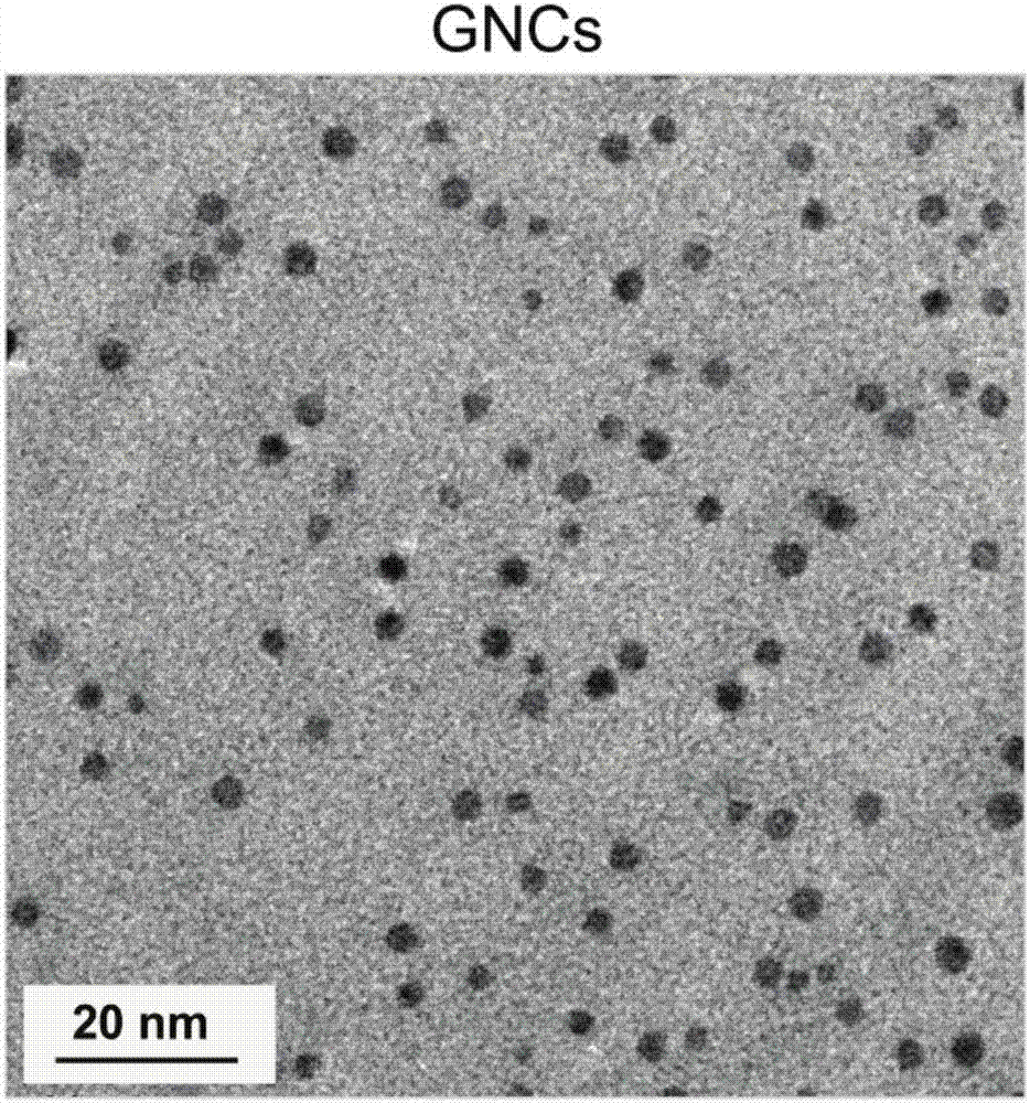 Method based on combination of gold nanoclusters and NGF siRNA for treating pancreatic cancer