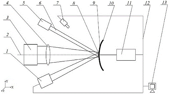 Path planning device of laser shot blasting strengthened hook surface and path planning method for device