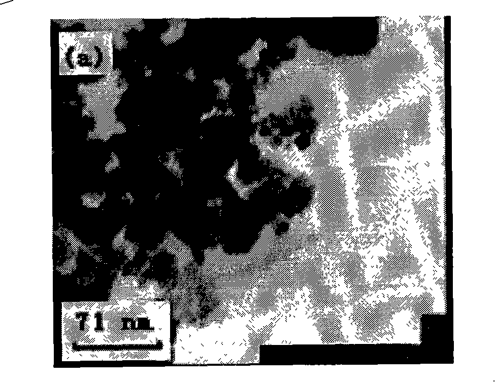 Method for synthesizing spinel structure magnesium ferrite nano particles