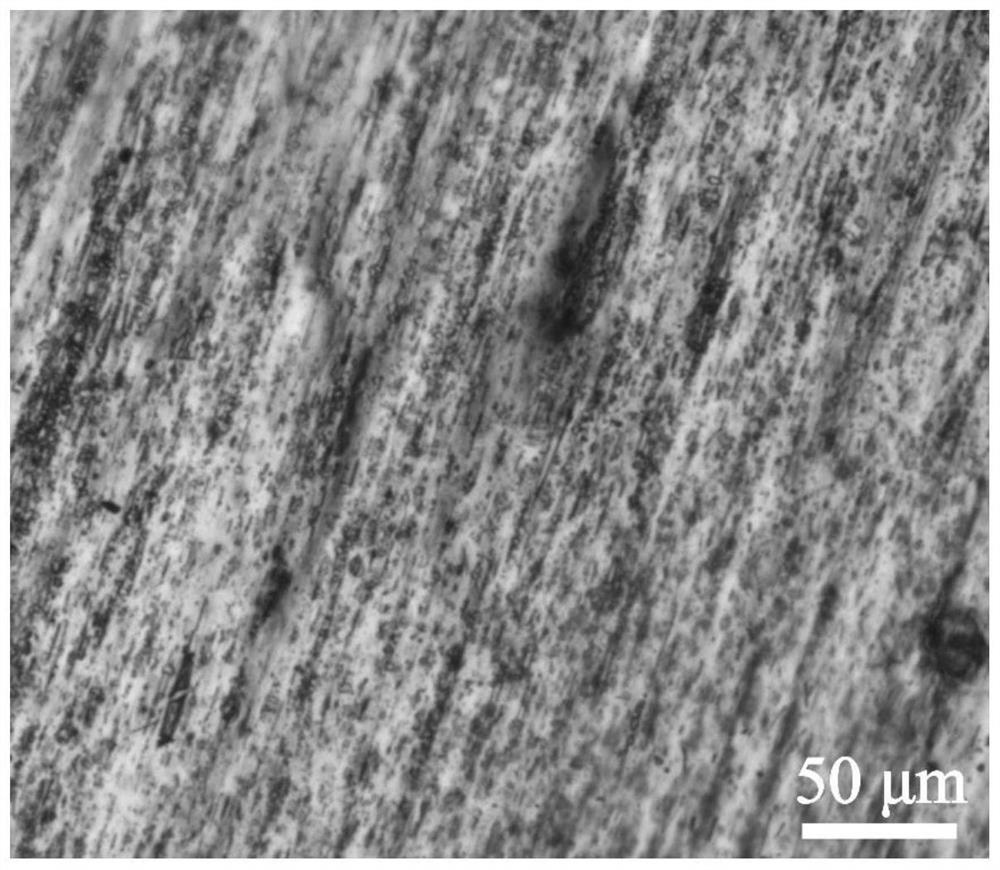 A kind of high thermal conductivity biodegradable polymer composite material and preparation method thereof