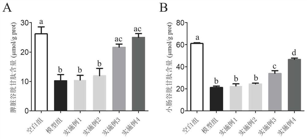 Functional composition with immunoregulation effect as well as preparation method and application of functional composition