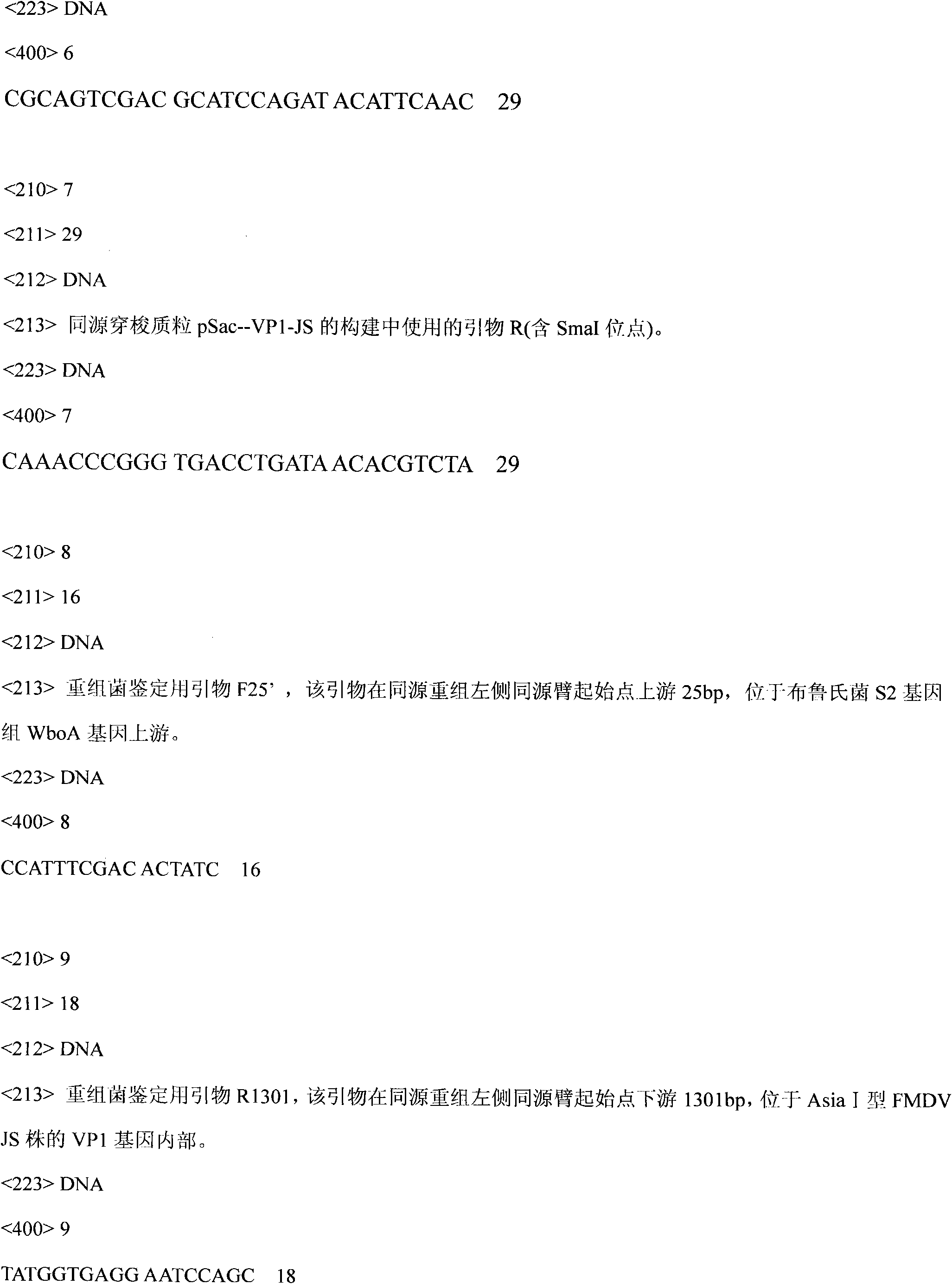 Recombinant brucella for expressing Asia type-I foot and mouth disease virus VP1 genes and method for producing vaccines thereof