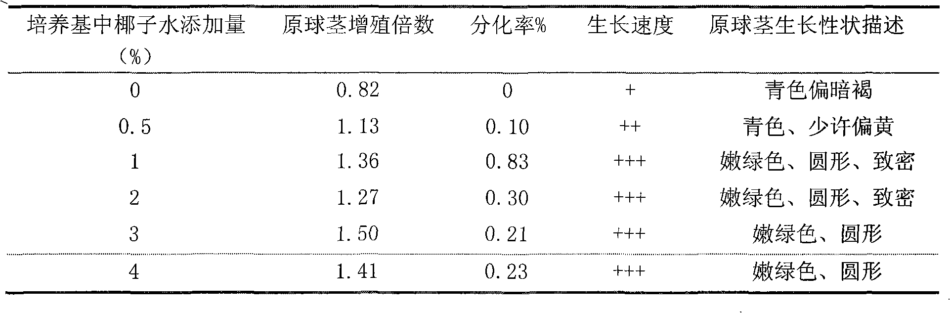 Method for improving proliferation and differentiation of protocorm of Oncidium by utilizing concentrated coconut juice