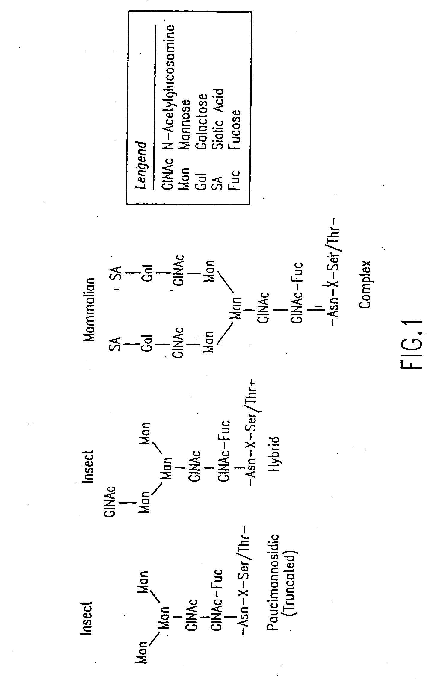 Engineering intracellular sialylation pathways