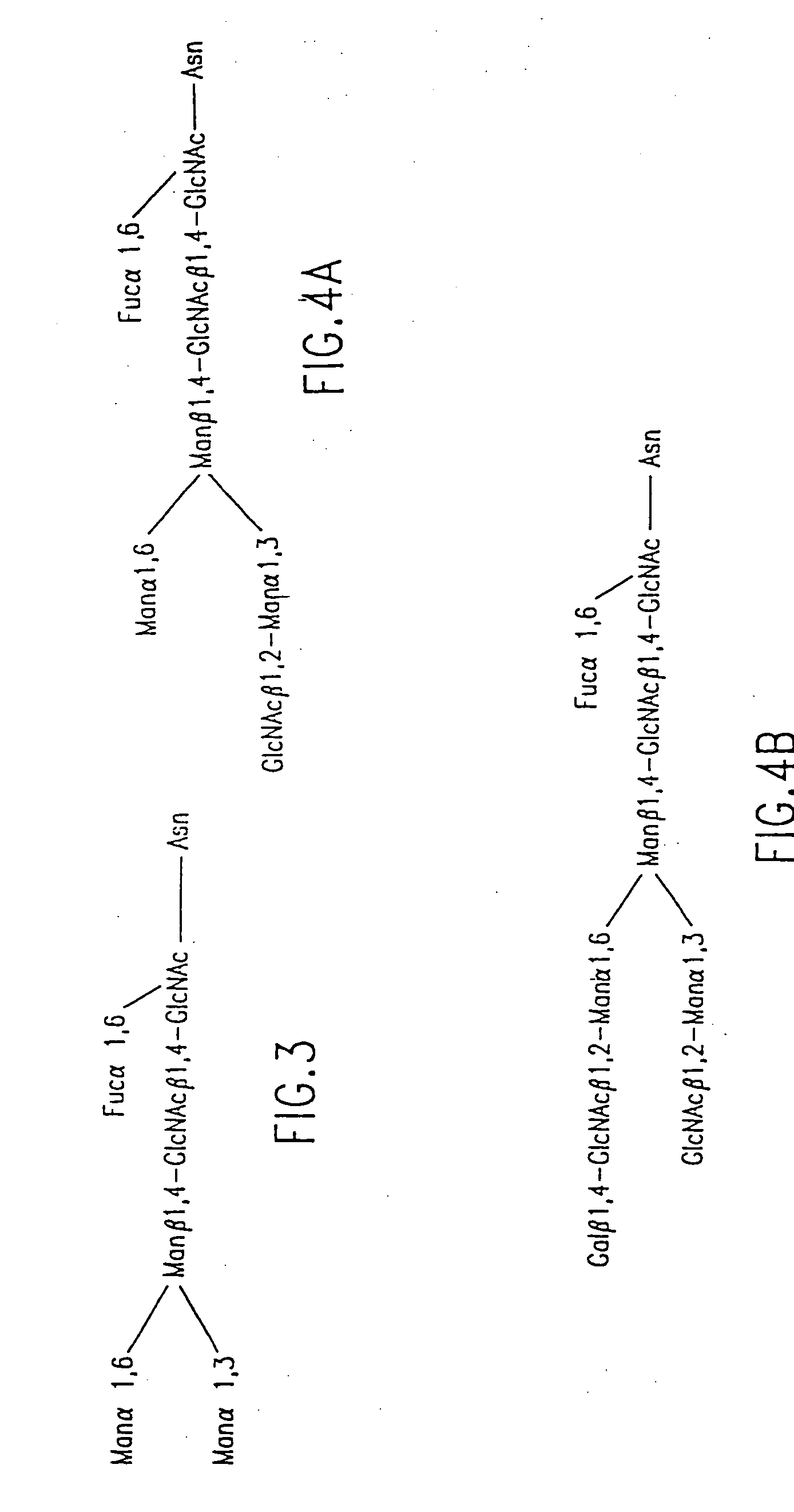 Engineering intracellular sialylation pathways