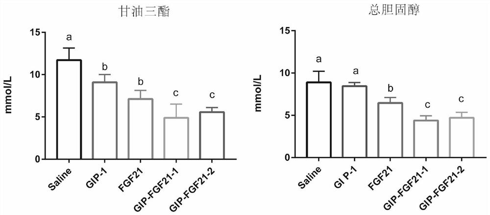 A fusion protein for treating metabolic diseases and its preparation method and application