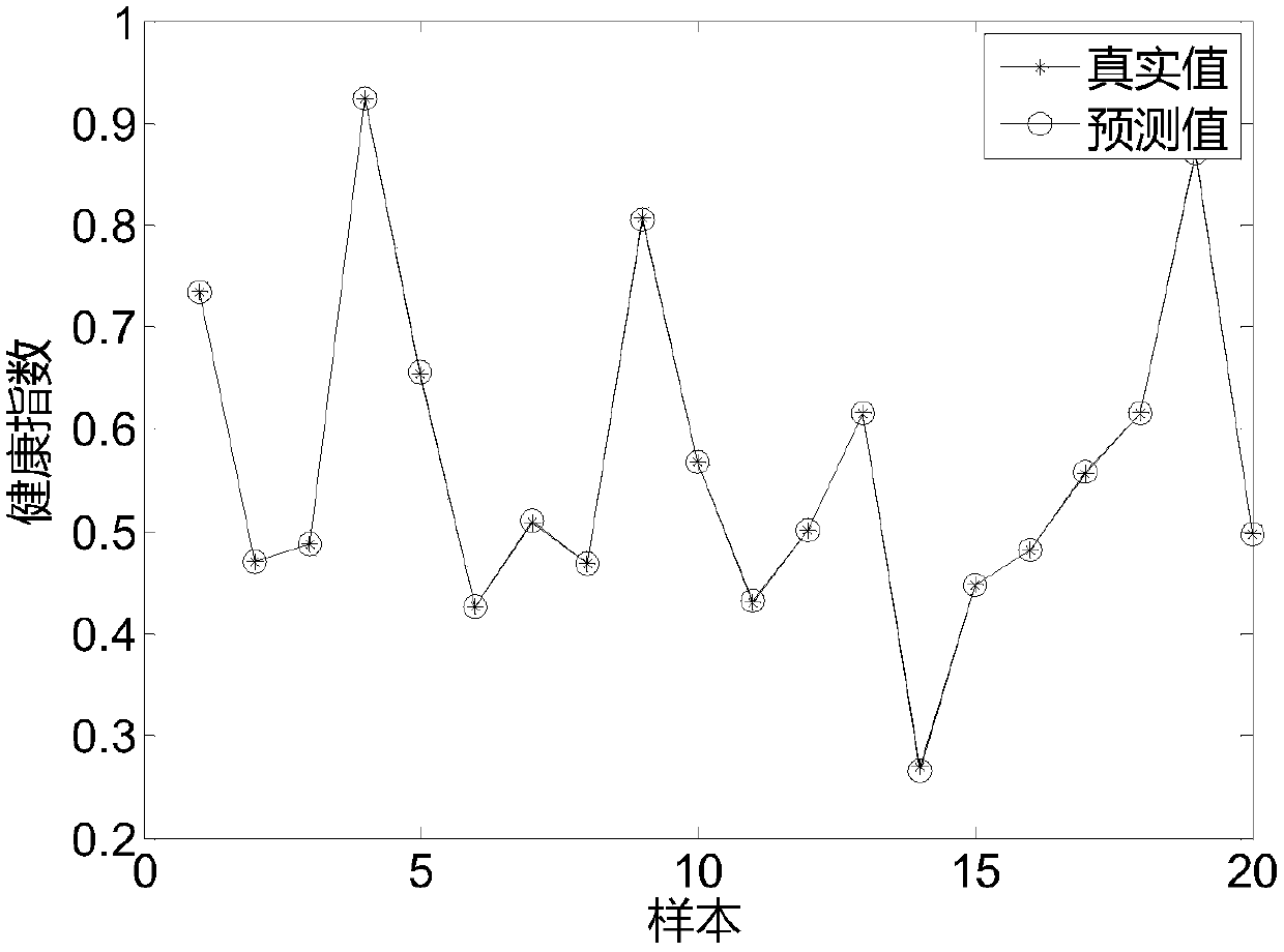 Pet feeding method and system based on internet of things