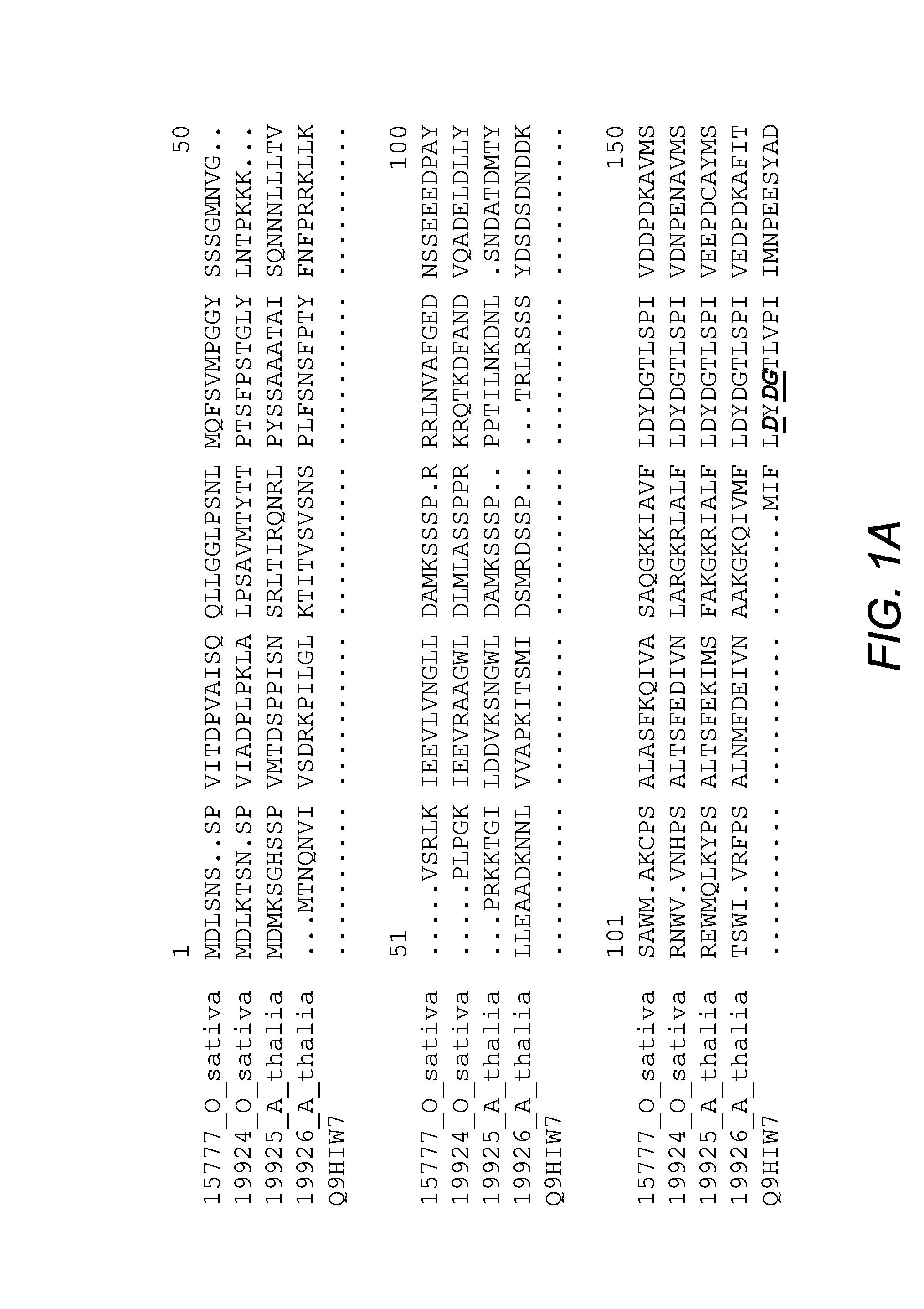 Methods of increasing yield and stress tolerance in a plant