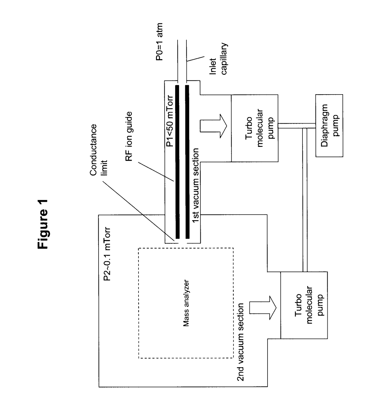 Portable mass spectrometer with atmospheric pressure interface