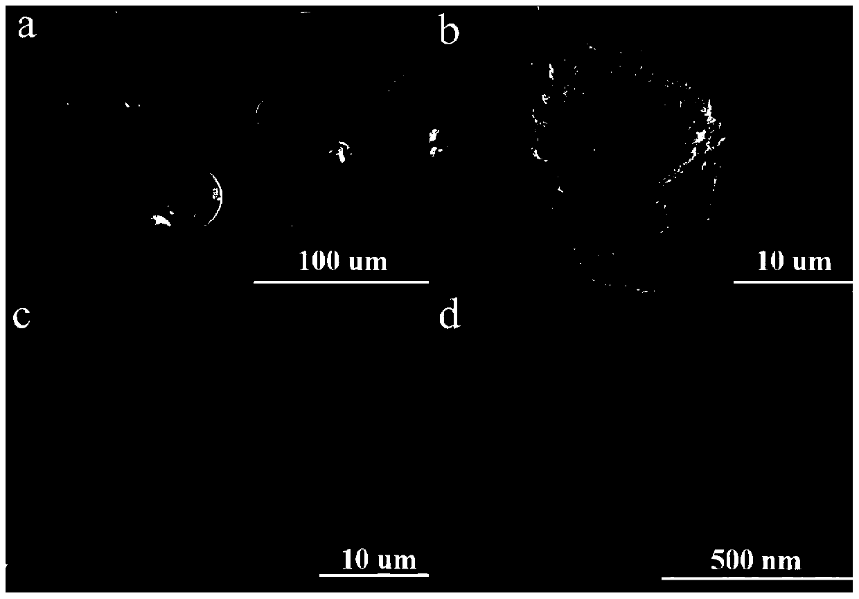 Silicon-carbon composite material in bubble coral form, manufacturing method and application thereof