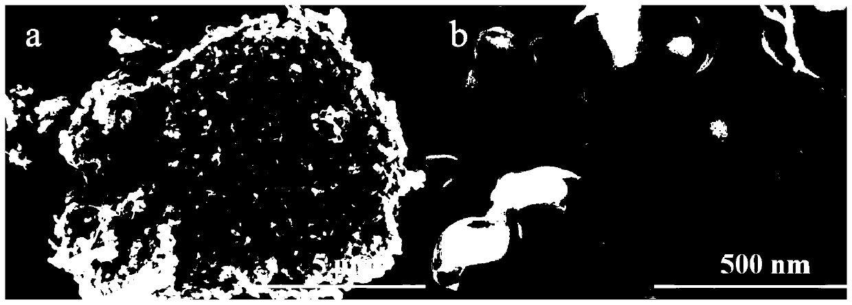 Silicon-carbon composite material in bubble coral form, manufacturing method and application thereof