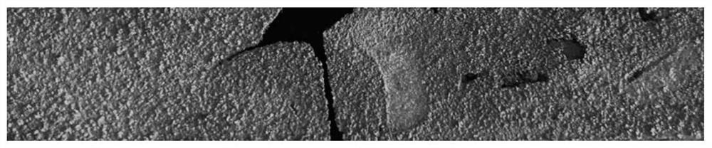 High-strength intergranular-corrosion-resistant twinning induced plastic austenitic stainless steel