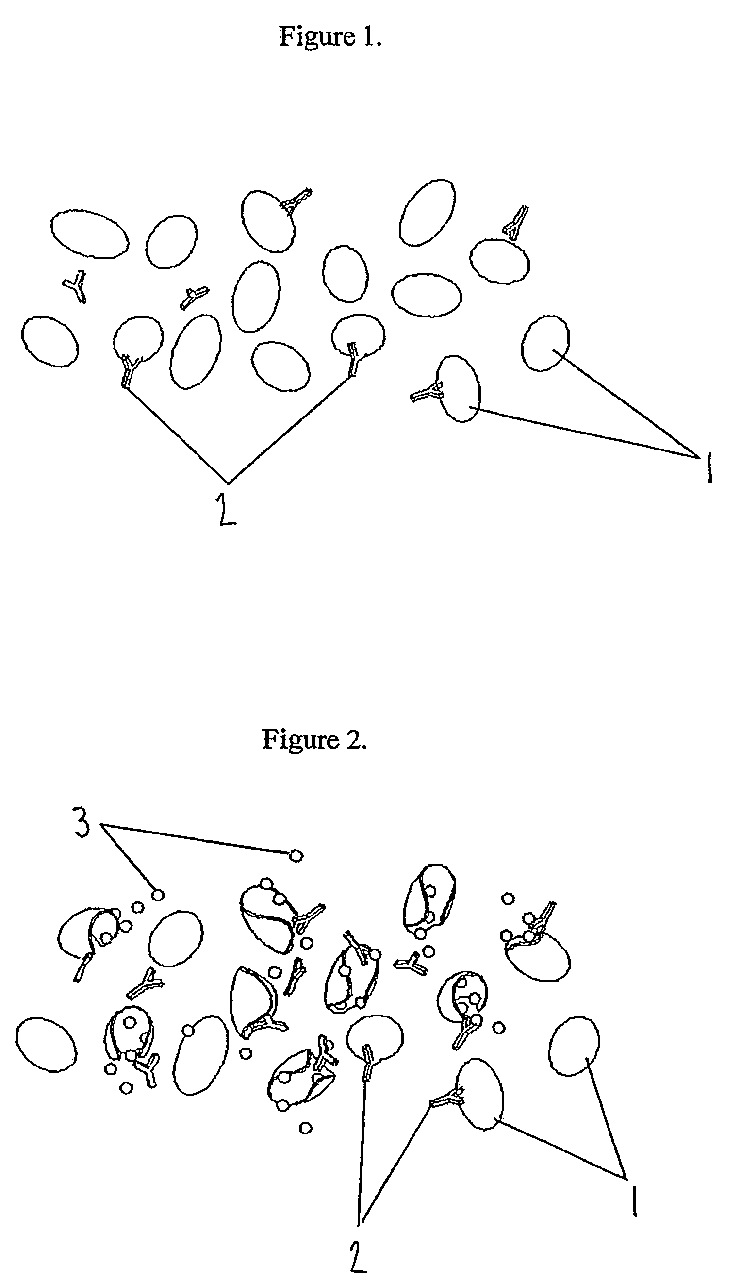 Indicator for in-situ detecting of lysozyme