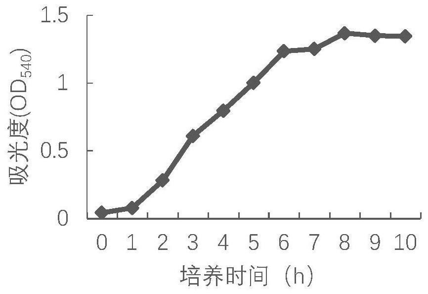 A kind of Pseudomonas aeruginosa and marine mammal vaccine containing the bacteria