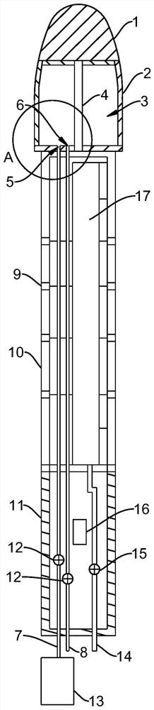 Gynecological cleaning device