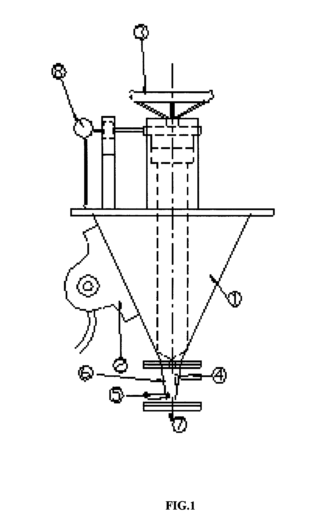 Device for feeding pulverized coal to furnace