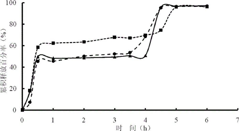 Gastrodin double-pulse drug-release preparation