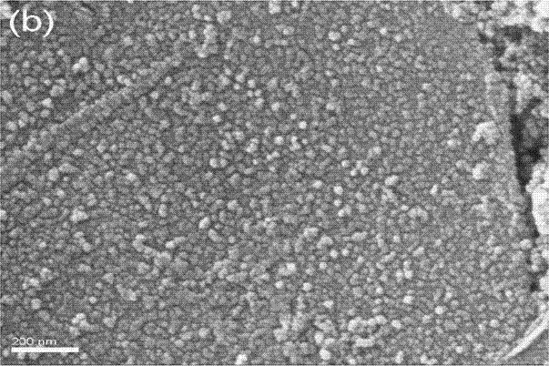 Magnetic cucurbit urils/grapheme oxide composite material and preparation method thereof