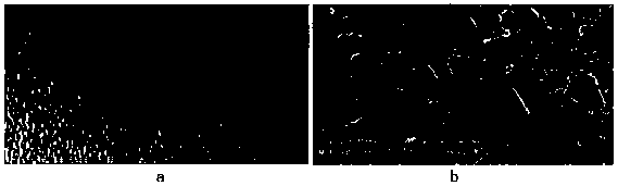 Graphene catheter composition, catheter preparation method and application