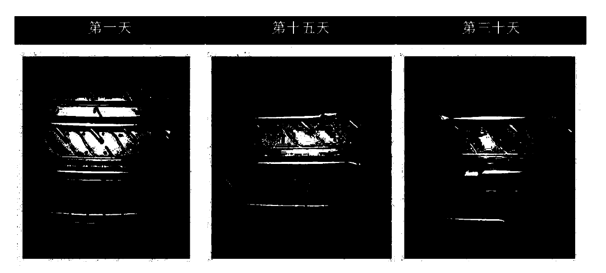 Material for surface treatment of vulcanization mold and preparation method and application thereof