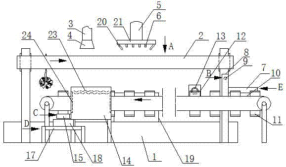 Apparatus for producing tropical plant specimen and preserving tropical plant