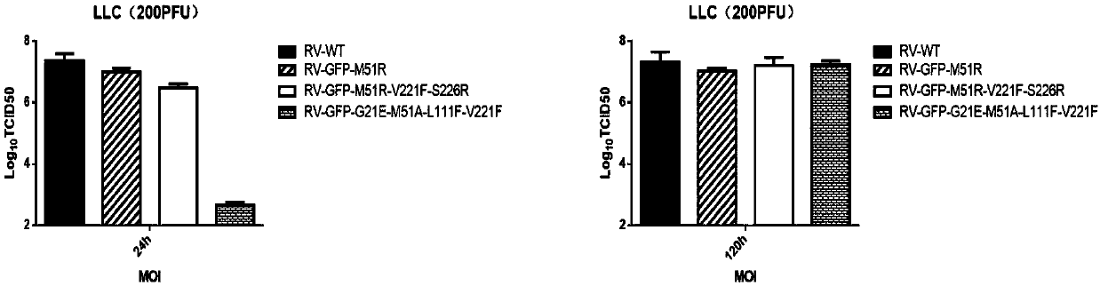 Attenuated strain of oncolytic rhabdovirus and its application in tumor therapy