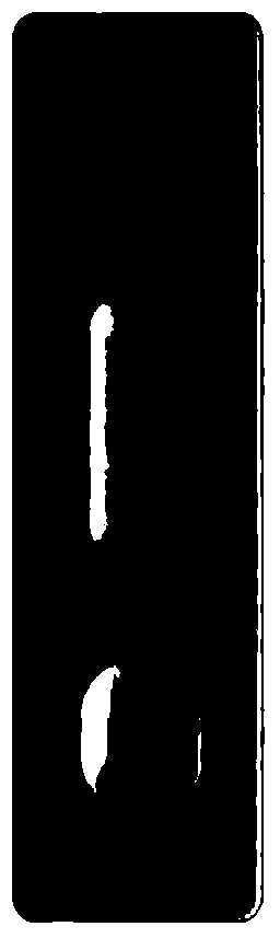 Probe capable of specifically identifying bisphenol A nucleic acid aptamer and test strip detection application of probe